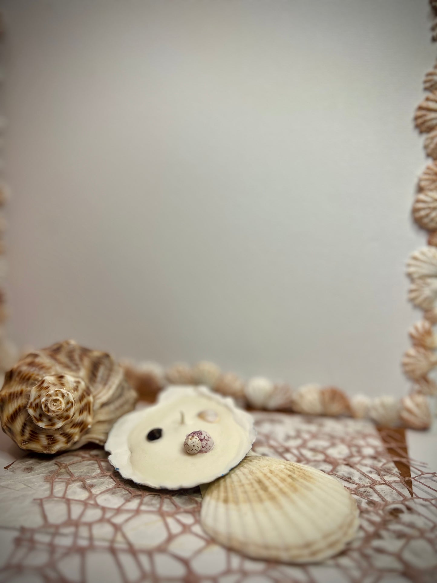 Candles in Shell