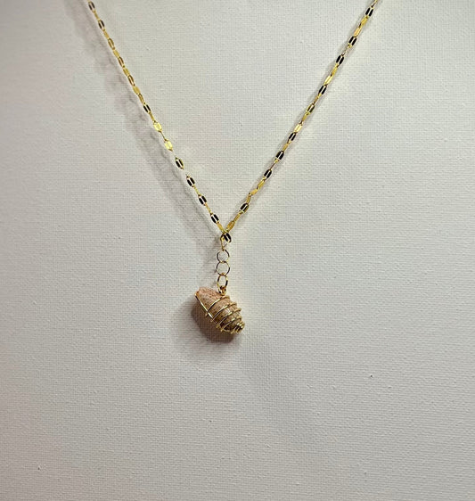 Felicioliva peruviana