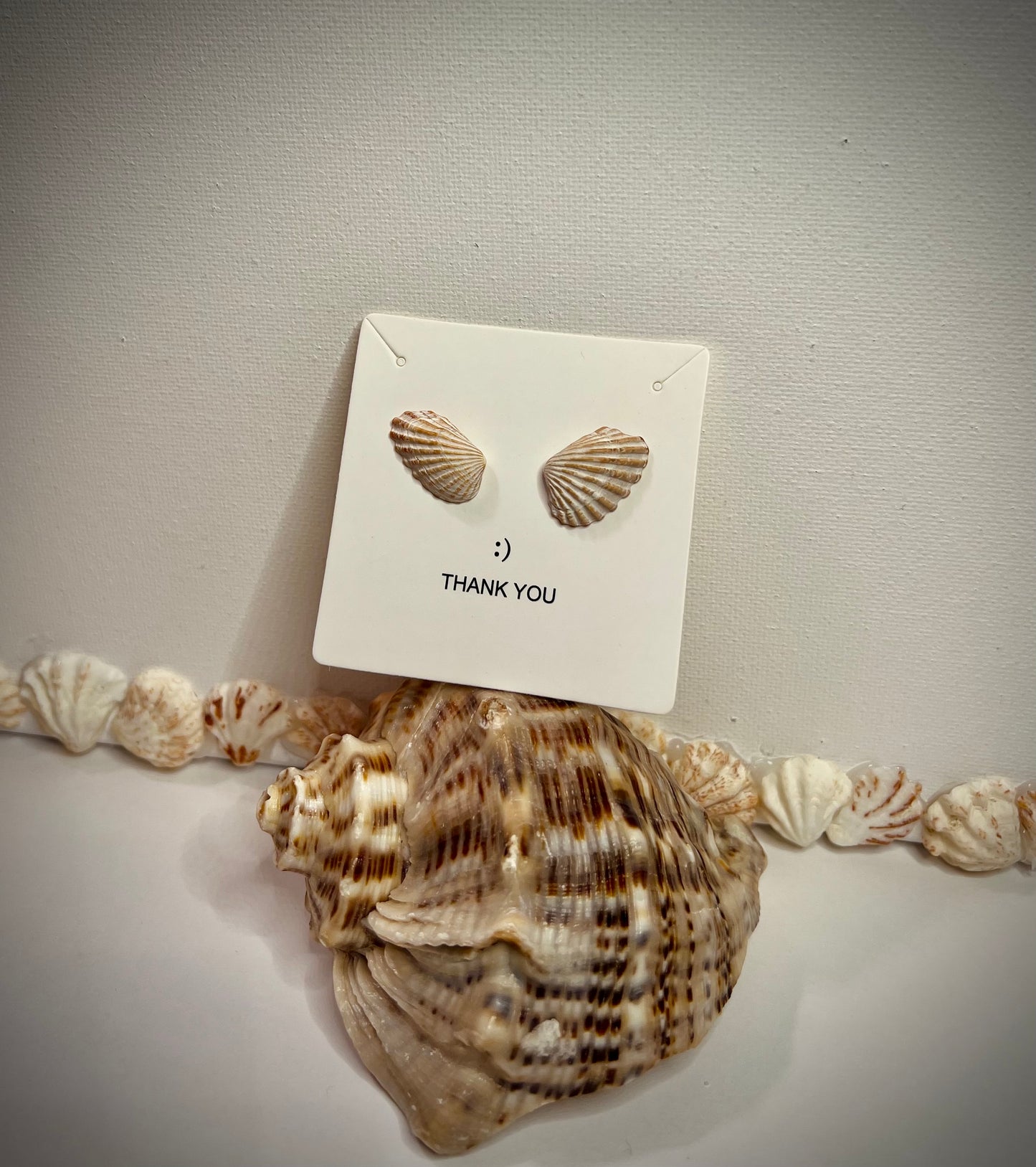 Cardites floridanus earrings