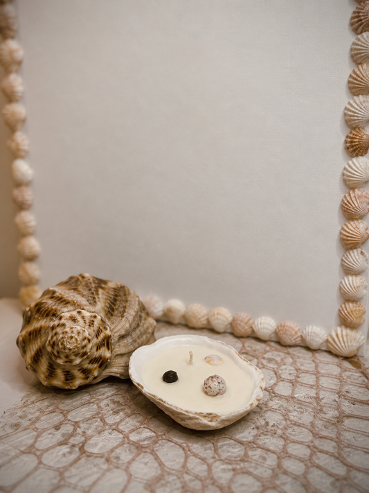 Seashell Candle