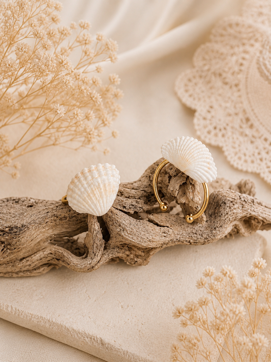 Anadara Floridana Ring