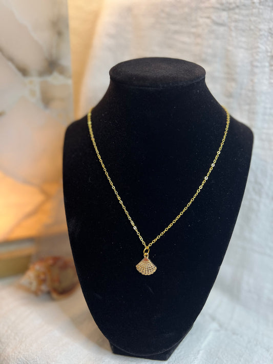 Beautiful Golden Shell