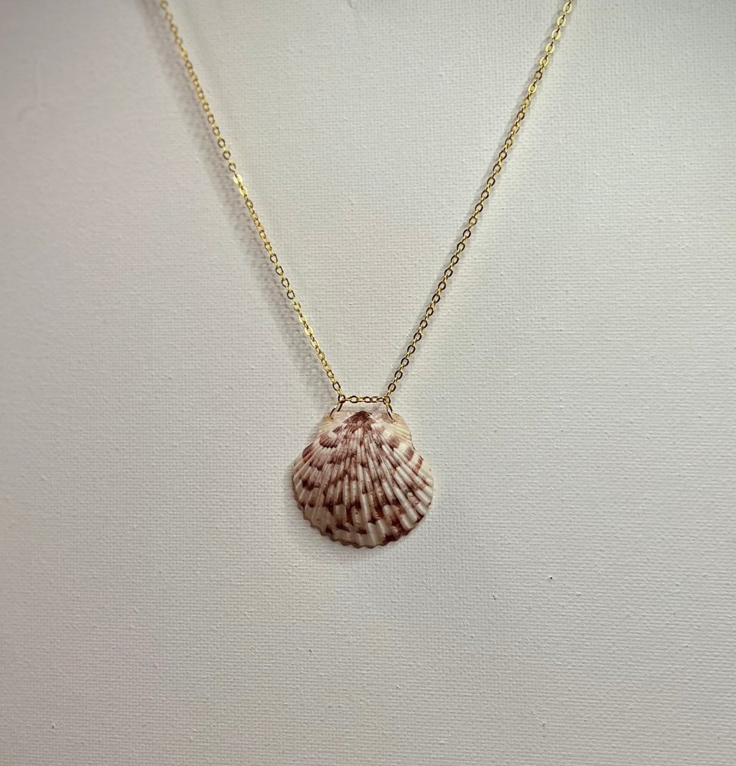 Seashell