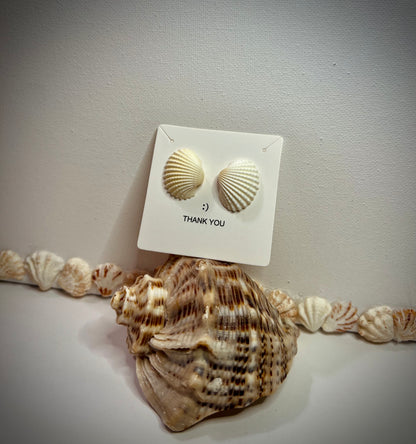 Anadara Florida earrings