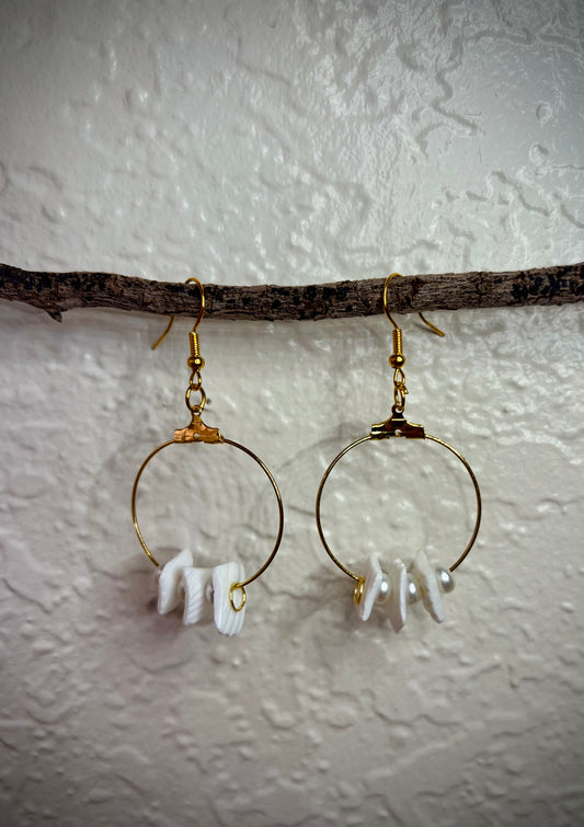 Aretes Nácar