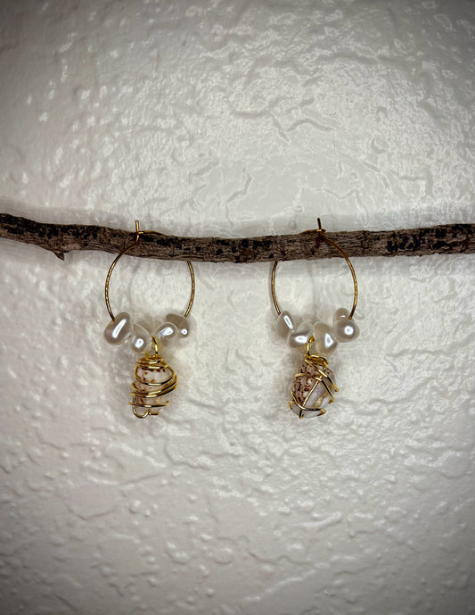 Aretes Morum Oniscus