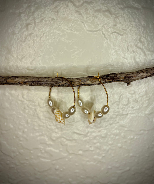 Aretes Caracol Marino