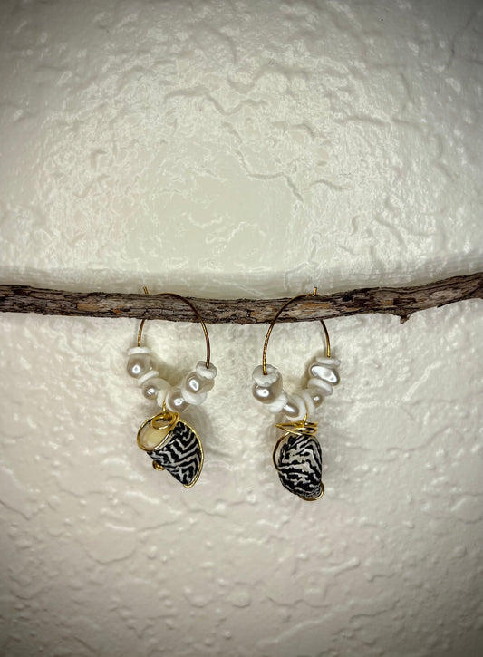 Aretes Nerita tessellata