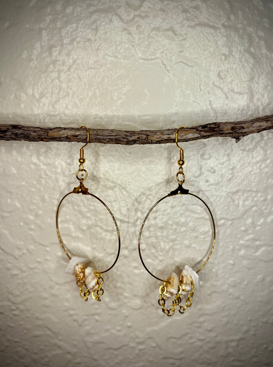 Aretes Velo Costero