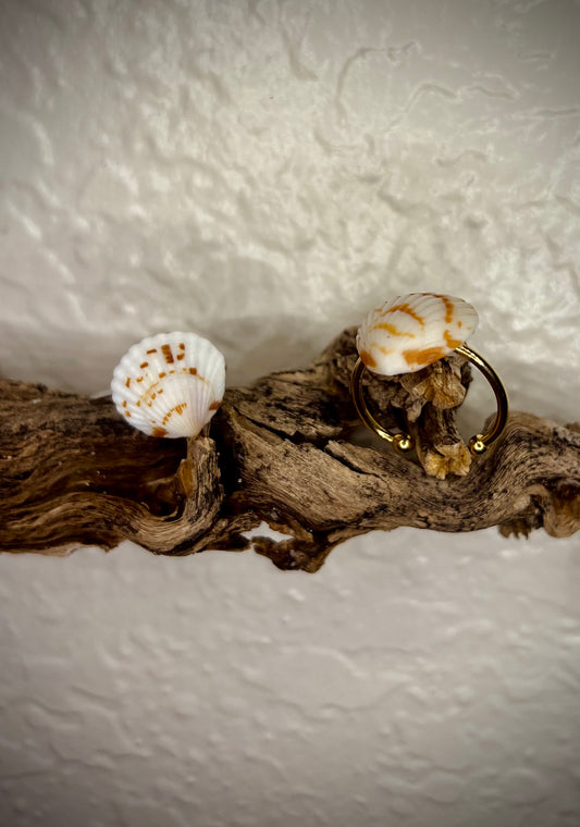 Anillo Chione Elevata