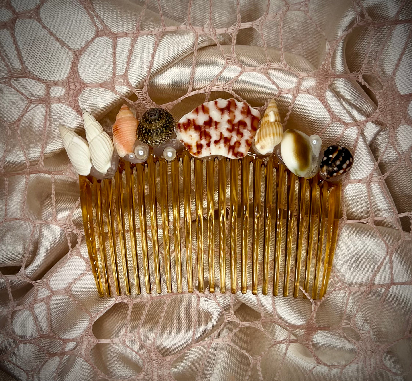 Treasures of the Coast